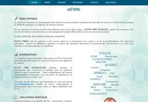 digital fibre custom website